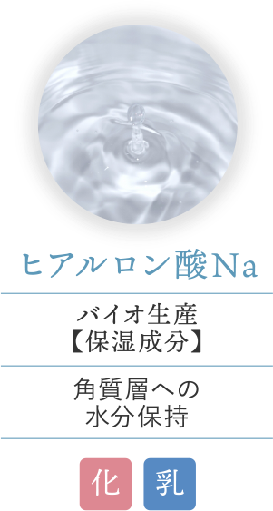 ヒアルロン酸Na