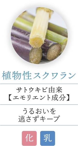 植物性スクワラン