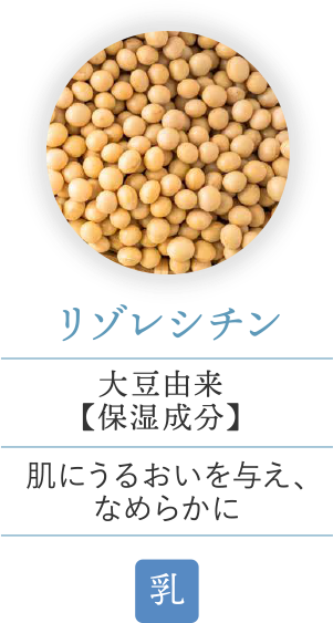 リゾレシチン
