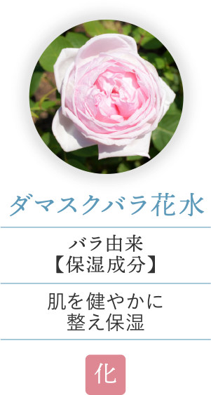 ダマスクバラ花水